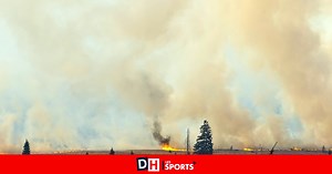 En Belgique, plusieurs régions sont propices aux feux de forêt, mais "le feu ne démarre pas tout seul, il faut un déclencheur humain"