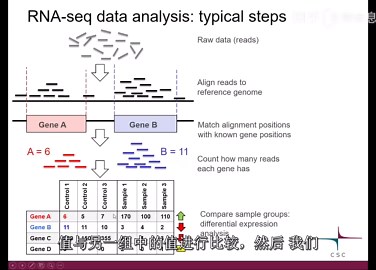 生信入门学习——RNA-seq数据分析