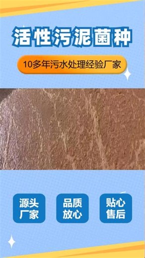 硝化菌种活性污泥菌种采用复合菌群技术，可快速降解有机污染物，提升污水处理效率30%以上。定制化活性污泥菌种方案，针对不同水质精准调配，提高处理效率，降低处理成本，欢迎垂询。 #硝化菌种 #水体修复菌种 #活性污泥菌种 #生物菌种 #复合耐盐菌种