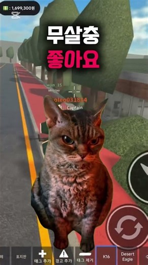 동굴부대 가장 짜증나는 사람은? #동굴부대 #로블록스 #고양이