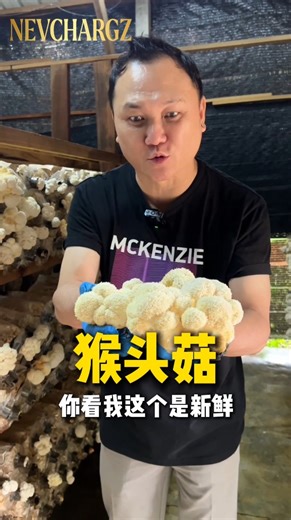 1.3K views · 5.6K reactions |  看起来像 “猴子头” 的菇 —— 竟然是 #手脚麻痹 #神经线退化...