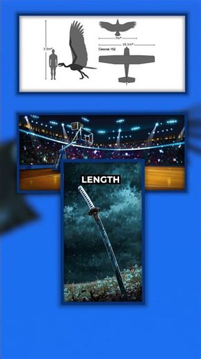 Argentavis: The 23ft Prehistoric Nightmare