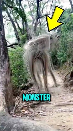 TOP 5 MOST BIZARRE CREATURES EVER 😱