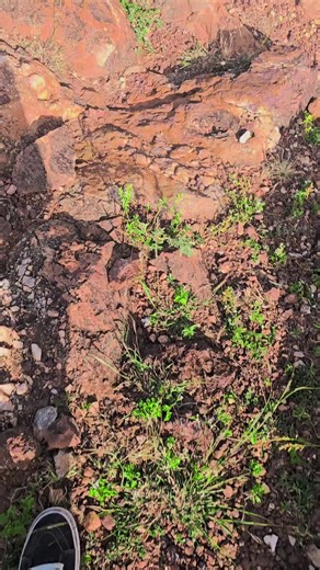 Exploring the Wonders of Ethiopia Through Travel