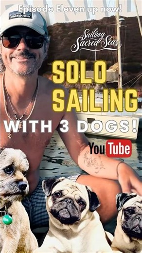 Solo sailing with 3 dogs! Sailing Sardinia aboard our Liveaboard lagoon 440 catamaran