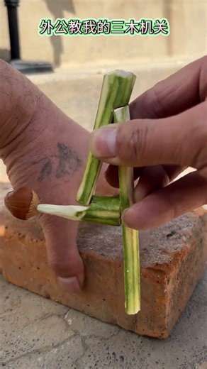 Learn the Miki Mechanism from My Global Mentor