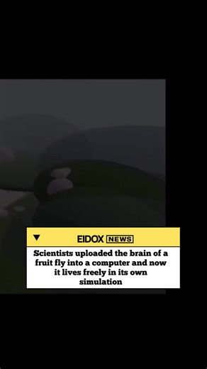 Autonomous Behavior of a Digitally Emulated Fruit Fly