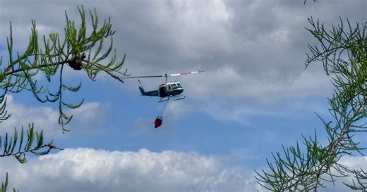 Alligator Alley wildfire has burned 1,700 acres, 60 percent contained: FFS