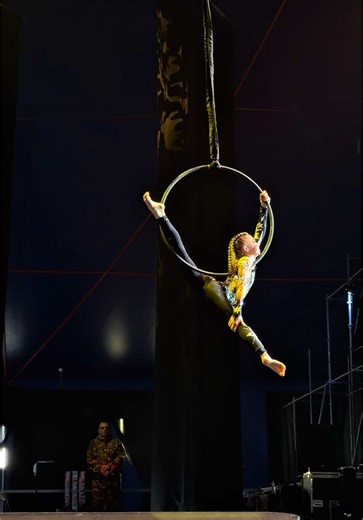 Aerial Fest: Exploring Airborne Gymnastics
