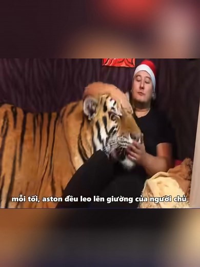 24K views · 49 reactions | bạn có dám nuôi thú cưng này không | Review Plus | Facebook