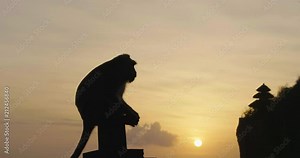 Silhouette of a monkey on top of an Indonesian temple. Concept of: travel, traditions, temples and religions.