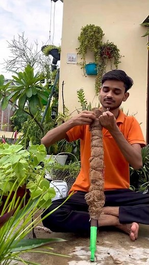 DIY Moss stick #mossstick #gardening #moneyplant #youtube