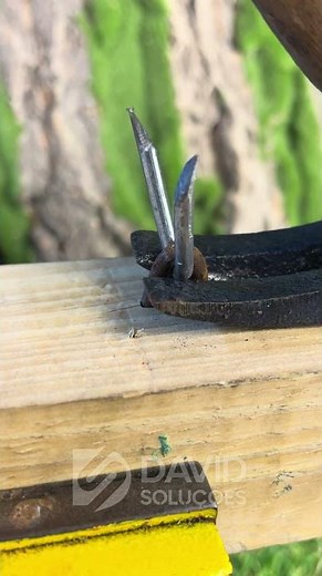 Learn how to remove staples #DIY #Tools #HomeHacks 🔧📌✨
