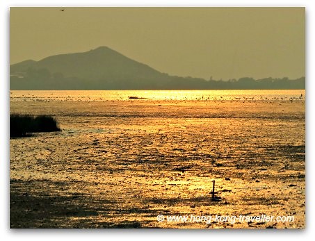 Mai Po Nature Reserve