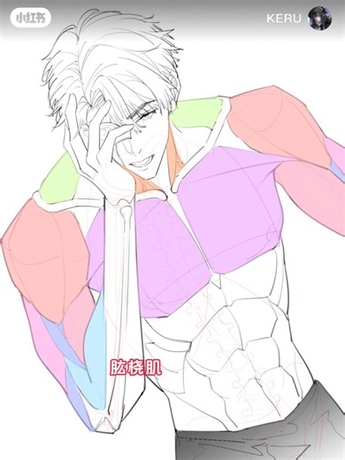 ฅ≽(•⩊ •マ≼ drawing advises for anime artists ~ save and practice . follow for more art lessons and art ideas 💡 . . . how to draw anime . #arttutorials #xiaohongshuart #animeart #animearttutorial