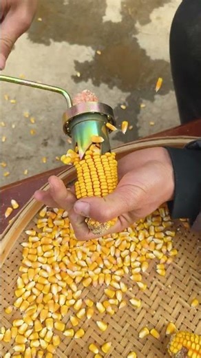 Self-made hand-operated corn threshing device