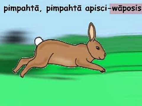 Run, run little rabbit