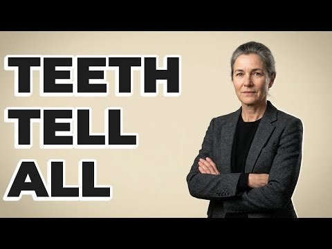 What Bioarchaeological Data Comes From Teeth?