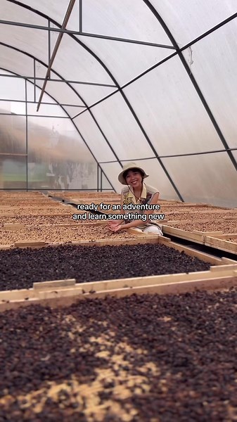 Discover the Charm of Talasi: Farm-to-Table Experience in Bali