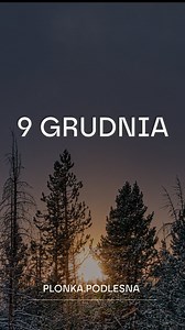 9 grudnia Dziś wspominamy św. Leokadię, męczennicę z Toledo, czczoną od IV wieku. W tradycji ludowej jej dzień kojarzono z początkiem prawdziwych zimowych zmian i obserwowano pogodę, by przewidzieć nadchodzące mrozy. Dawne przysłowia związane z 9 grudnia: – „Na świętą Leokadię zima daje swe władanie.” – po tym dniu mrozy stają się pewniejsze – „Gdy Leokadia śniegiem sypie, mróz na progu stoi skrycie.” – „Od Leokadii słońce krócej, mrozy dłużej.” – zwyczajowe powiedzenie o skracającym się dniu W 