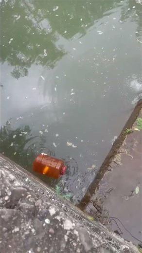 me and may friends fishing 🎣?