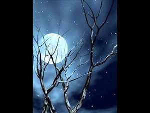 Nishi Kabbo -- Fav Song -- Habib Wahid