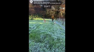 Our approach combines the deep-seated instincts and intuitive nature of wolves with the transformative power of human-animal interactions. By immersing individuals in these experiences, we aim to illuminate and elevate their self-awareness, while offering a pathway for healing and personal growth. Through this process, participants develop a clearer understanding of their own emotions, behaviors, and relationships, guided by the gentle wisdom of our animal companions. If you’re seeking a unique 