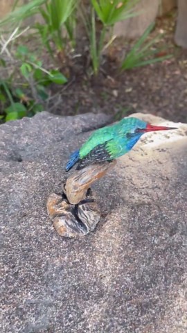 Hand Carved Wooden Broad-billed Hummingbird Life Size - Etsy