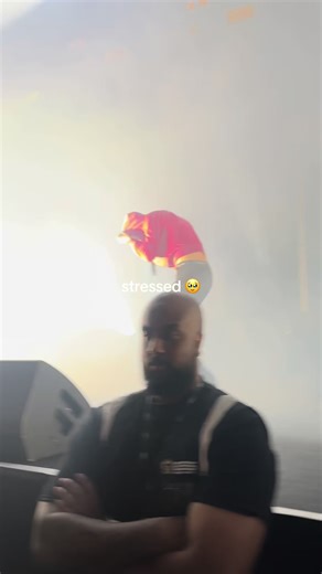 Nettspend Melbourne Show Highlights