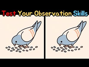 Spot The Difference: Test Your Observation Skills – Spot All 3 Mistakes [Find The Difference!]