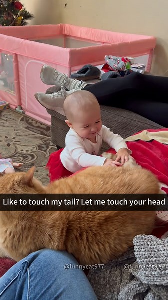 Cat vs baby#cat #catsoftiktok #funnycat #fyp #foryoupage #Funny #funnyvideos #cats