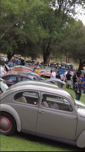 Everywhere You Look — Split & Oval Window VW Beetles