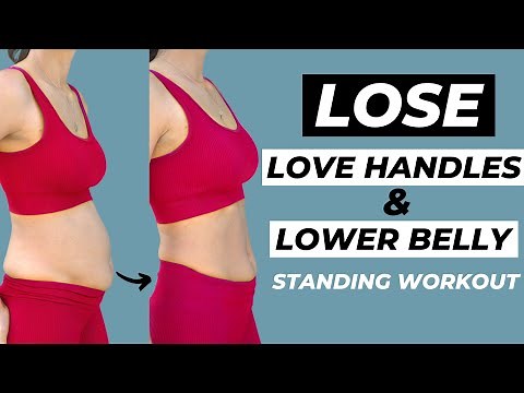 15 MIN LOVE HANDLES AND LOWER BELLY FAT WORKOUT Standing Only | No Equipment!