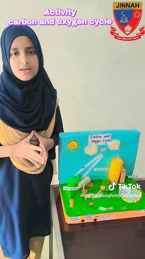 Jinnah Model High School on TikTok