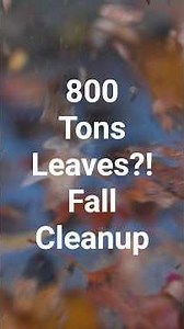 How Cambridge Cleans 1,400 Tons of Debris: Inside the City’s Street Sweeping Operation