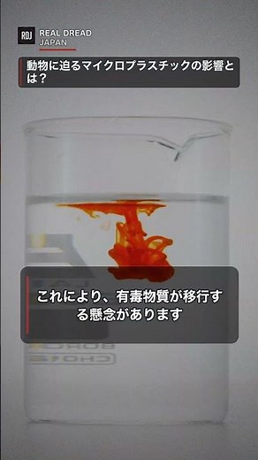 動物に迫るマイクロプラスチックの影響と海洋生物の見えないリスクについて