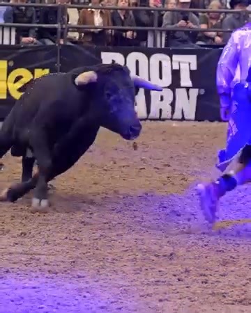 30K views · 175 reactions | For just $39 you get Bullfighting and Bull Riding...DAILY 1:30pm Resorts World December 4-13! Get your tickets now! | PBR | Facebook