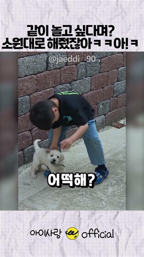 What happens when my son plays with a puppy 🤣 (feat. Dad dying of laughter)