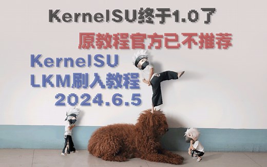 KernelSU全新（2024.6.5）刷入教程上期：LKM刷入