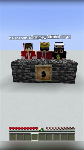 Guess the unlucky minecraft blocks