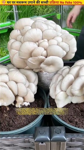 🍄Growing Mushrooms at Home Step by Step Method #ytshorts #gardening #shorts