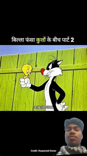 Billa kutton ke custom pahankar kutton ke pass jata hai#filterchallenge