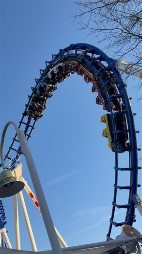 Everyone Loves A | Vekoma | Boomerang | Flying Cobras | Carowinds | Roller Coaster | Inversion | Fun
