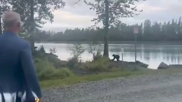 Putin’s envoy Dmitriev meets a bear in Alaska before US-Russia summit