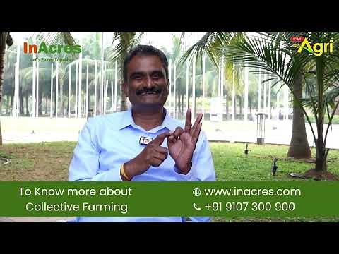 What is Collective Farming?