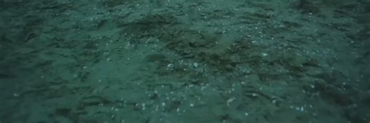 they only had one camera, rainy weather, seven skinny jeans and a continuous take but they went there and made history