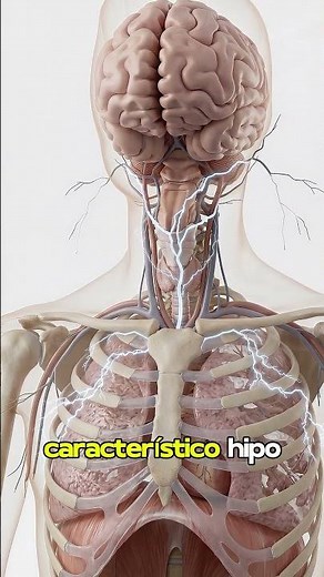 Why do you get the hiccups suddenly? 🤔 #wellness #documentary #health