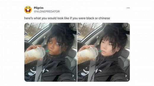 Here's What You Would Look Like If You Were Black or Chinese | Know Your Meme