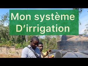 Sizing and Installation of an Irrigation System in a Citrus Orchard