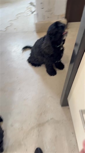 Carla Pratt on Reels